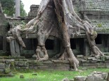 Angkor, Kambodża - jedna ze świątyń