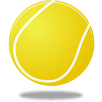 1352811847_tennis